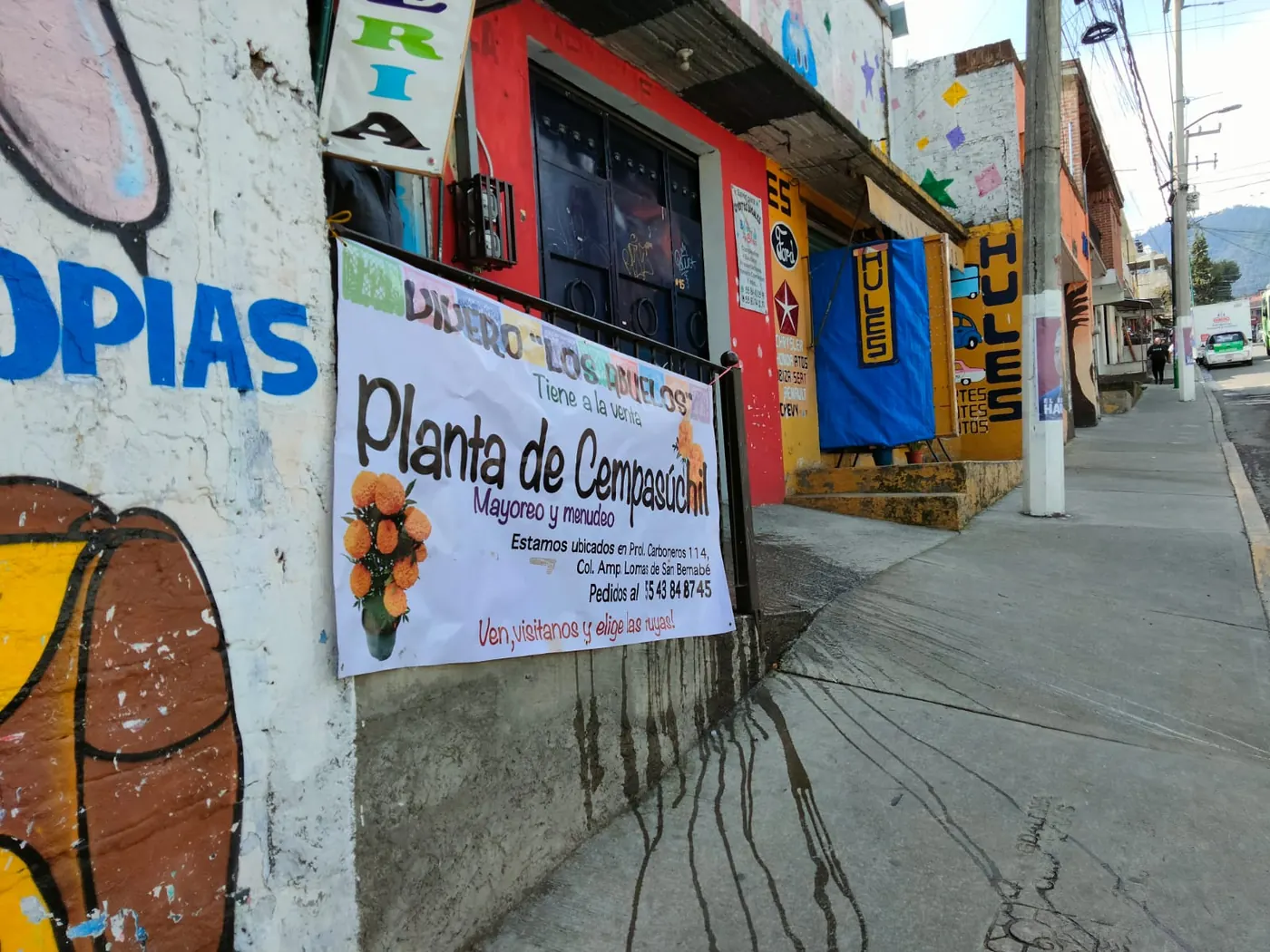 Lona comercial con ojillos y gráfica en español del Vivero Los Abuelos, Ciudad de México.